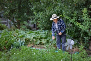 Sedmična agroprognoza: Topli i sparni dani pred nama uz povremene padavine