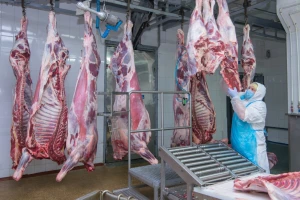 Agrosektor u BiH najveći gubitaš: U uvozu prednjače meso i mesni proizvodi