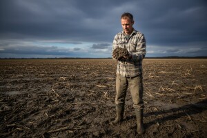 Agrotehnika nakon poplava