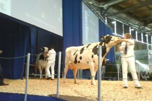 Agroklub na Eurotier 2008