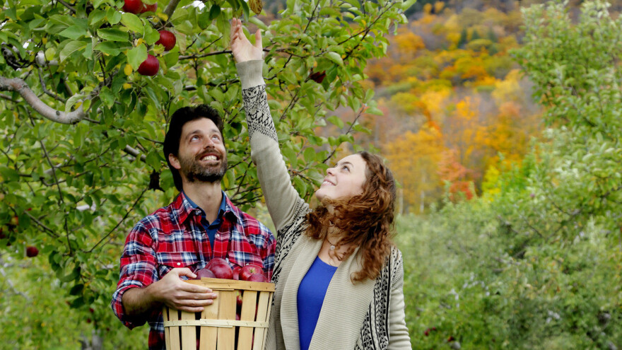 Ahmed Džubur: Turisti žele doći na selo i brati voće, ljekovito bilje...