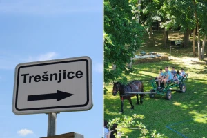 Agroturizam u praksi, djeca su najiskrenija: "Hvala ti drvo, super si!"