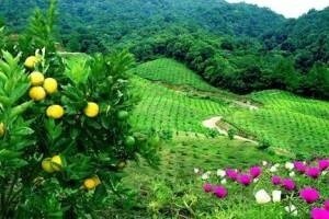 Agroturizam - romantični mit ili ključ uspjeha?