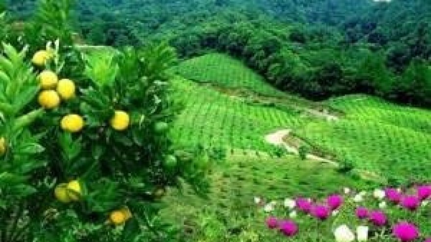 Agroturizam - romantični mit ili ključ uspjeha?