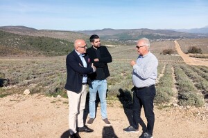 Ovo je jedan od najvećih projekata organske i biodinamičke proizvodnje u BiH