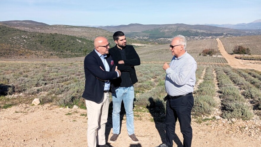 Ovo je jedan od najvećih projekata organske i biodinamičke proizvodnje u BiH