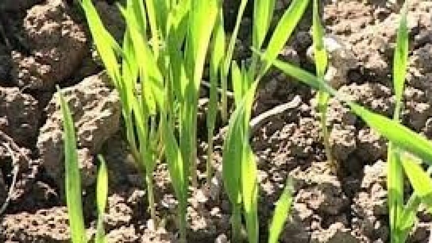 Znanjem do čistog okoliša i zdrave hrane