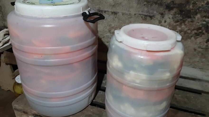 Stotine recepata na bazi povrća i voća