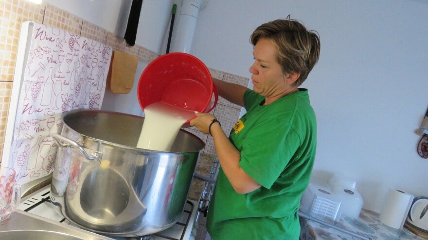 Marina Miškulin dnevno proizvede 14 sireva te skutu i basu, no planovi su daleko veći