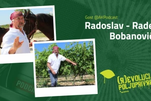 Radoslav - Rade Bobanović gost AK podcasta