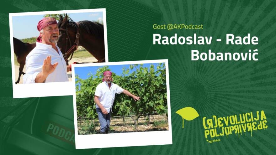 Radoslav - Rade Bobanović gost AK podcasta