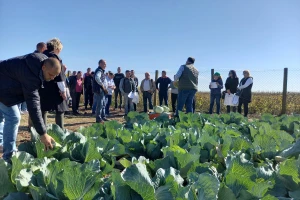 Dani polja u Čelarevu: Širok spektar kupusnjača firme Agrimatco