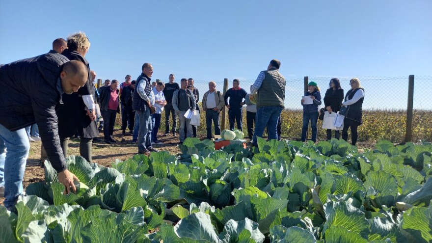 Dani polja u Čelarevu: Širok spektar kupusnjača firme Agrimatco