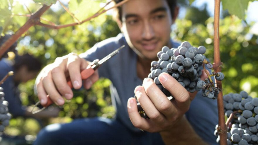 Akademija ekološke poljoprivrede u Splitu