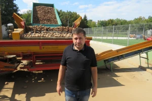 Ove će godine na tržištu biti oko 500 tona Ličkog krumpira, hrvatskog proizvoda s europskom zaštitom