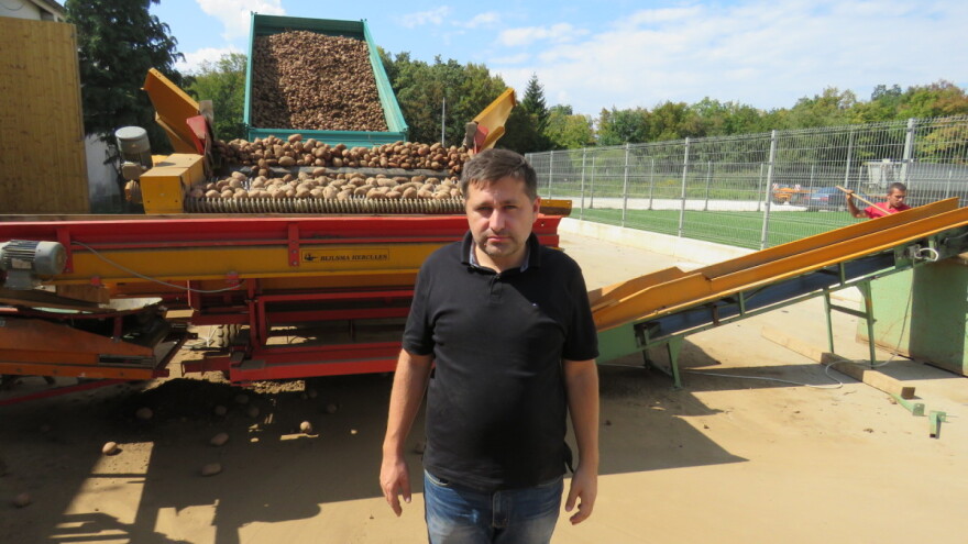 Ove će godine na tržištu biti oko 500 tona Ličkog krumpira, hrvatskog proizvoda s europskom zaštitom