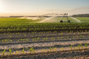Ako može Izrael - morat ćemo i mi!