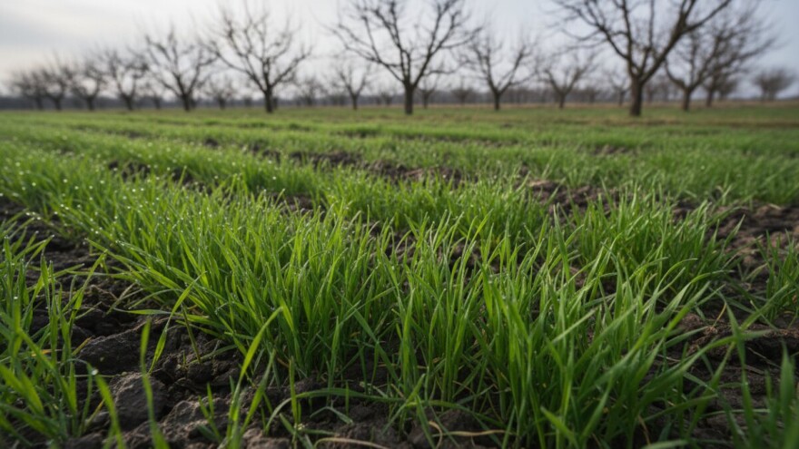 Ako siječanj nije u snijegu, teško dolu i brijegu