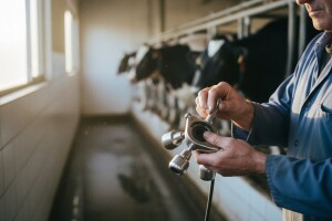 Aktualna situacija u sektoru mljekarstva