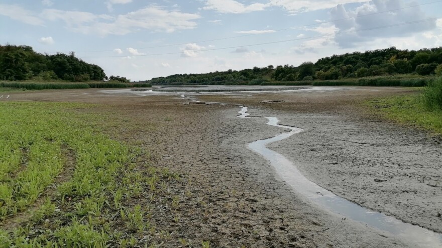 Nivo Ljukovskog jezera opada zbog navodnjavanja ili čepa od trske?