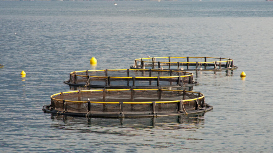 Savjetovanje o dodjeli potpora u akvakulturi