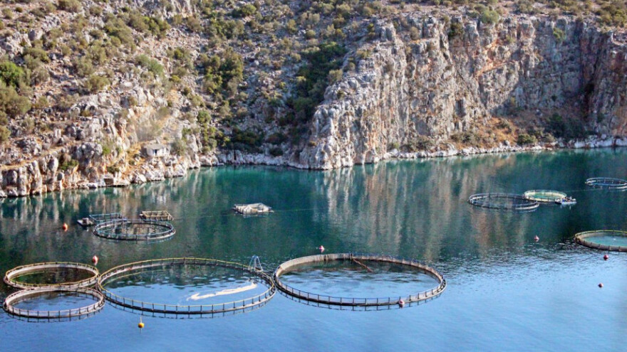 Dubrovnik okuplja 1.000 stručnjaka iz akvakulture!