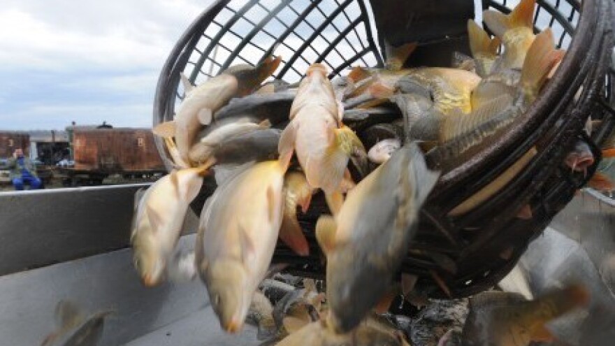 Hrvatska akvakultura u EU – sadašnjost i budućnost