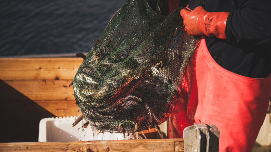 Na snagu uskoro stupa i Zakon o akvakulturi?