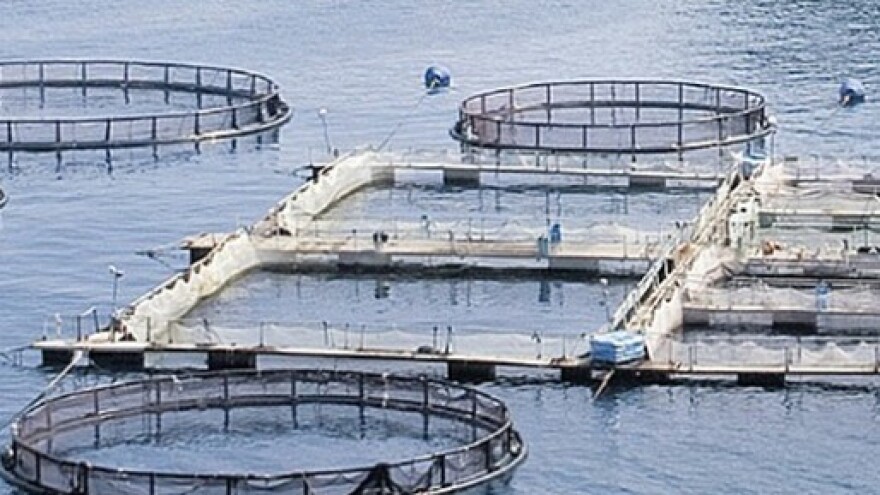 Susret gospodarstvenika u akvakulturi