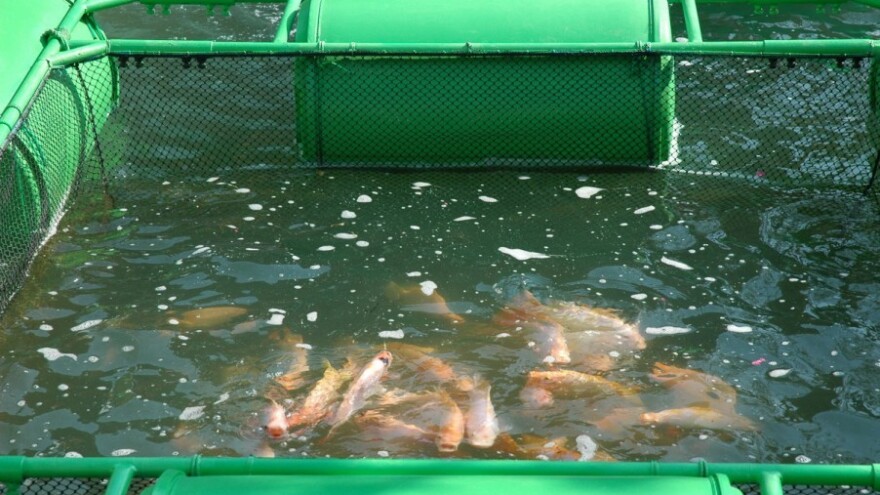 Susret klastera u marikulturi