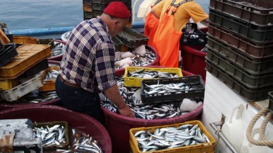 5 milijuna kuna za uzgoj riba i školjaka