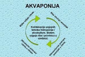 Akvaponija - osnovni principi