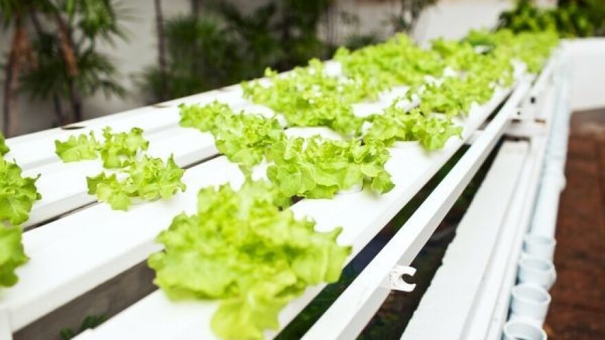 Student osmislio eko sustav uzgoja!