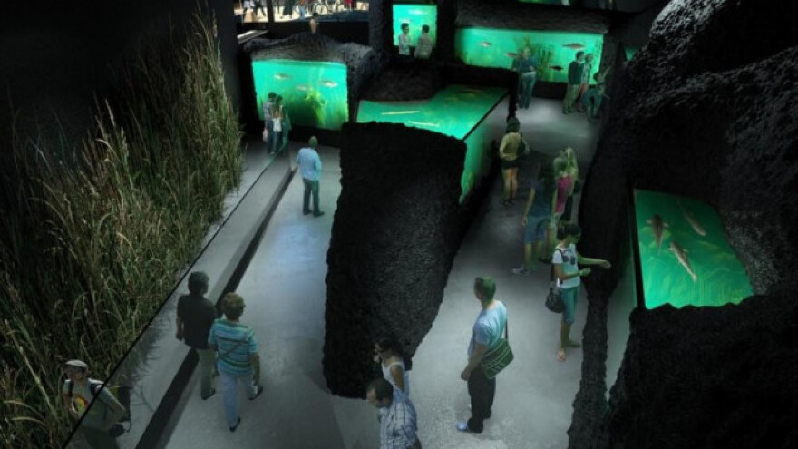 Kaquarium - slatkovodni akvarij i muzej rijeka