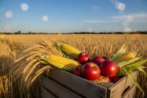 Albanski konzul: Zanima nas uvoz hrane iz Slavonije