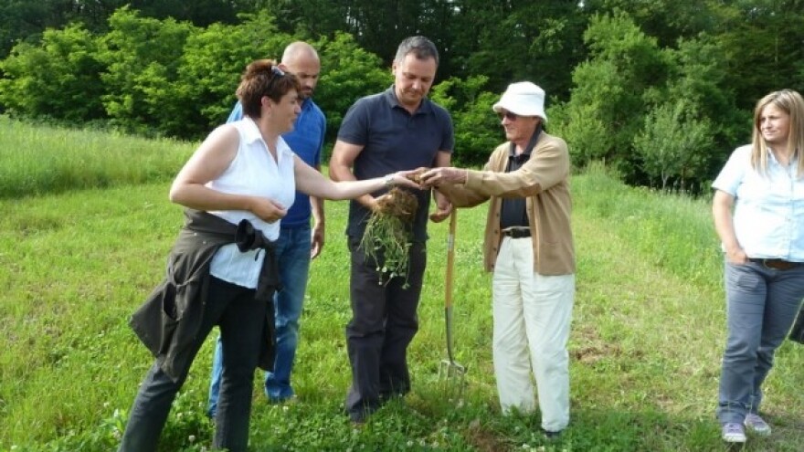 Šest hektara pod biodinamički uzgojenim povrćem!