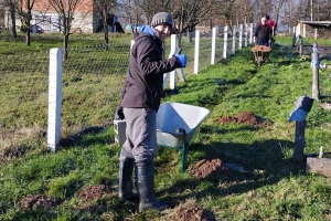 Kupio ledinu pa zasadio borovnice: "Iznenađen sam!"