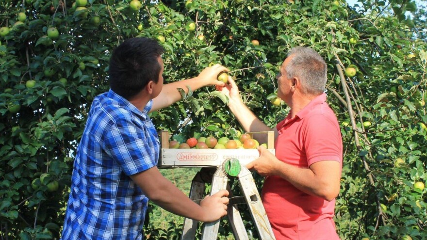 Zemljište zaraslo u šikaru obitelj Uremović pretvorila u jedinstveni voćnjak-park