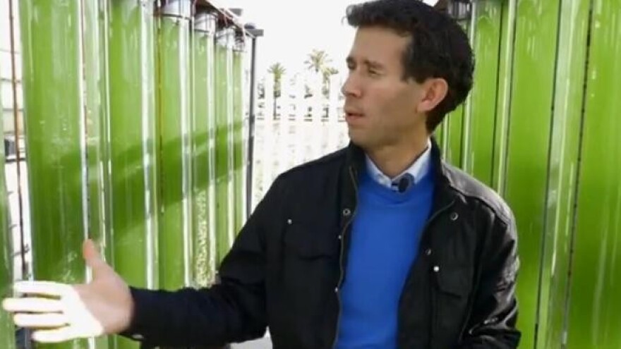 Zelenija tehnologija u preradi maslina!