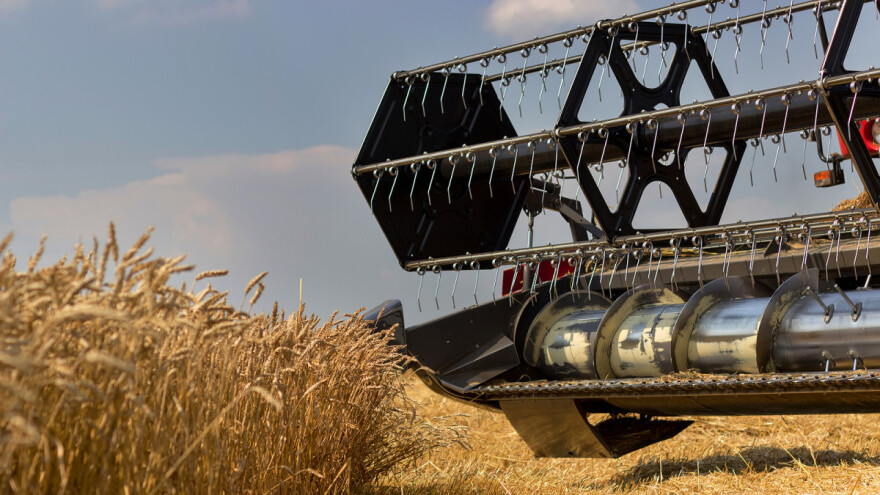 Toplinski val prži američke usjeve: Velike štete na pšenici, jabuke prestale rasti