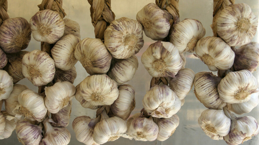 Evropski beli luk u dobrom stanju, Kina u problemu zbog hladnjača