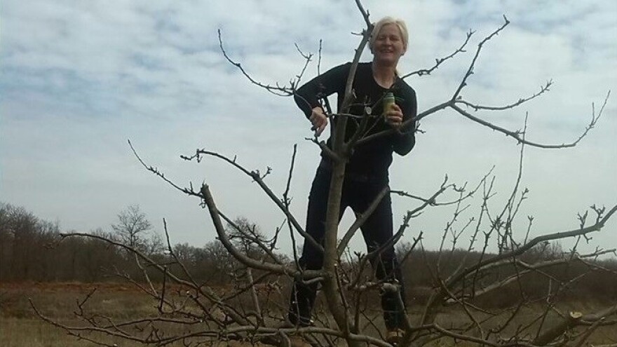 Kako prepoznati ekološki proizvod?