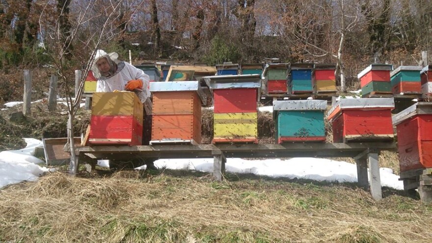 Almir Hujdur: Pčelinjim ubodima se borim protiv multiple skleroze