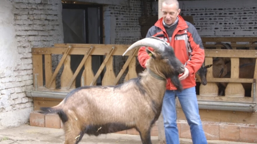 Kozarstvo odabrati samo uz osigurano tržište
