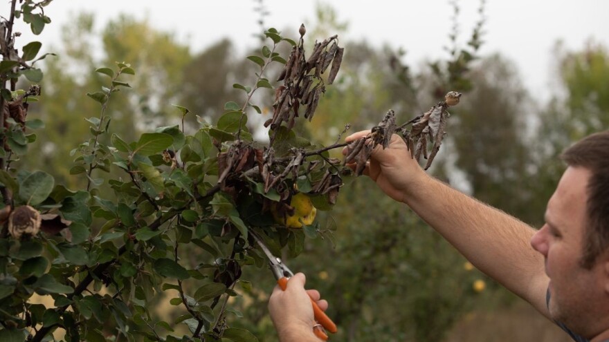Stabilno i sunčano vrijeme pogoduje radovima na otvorenom