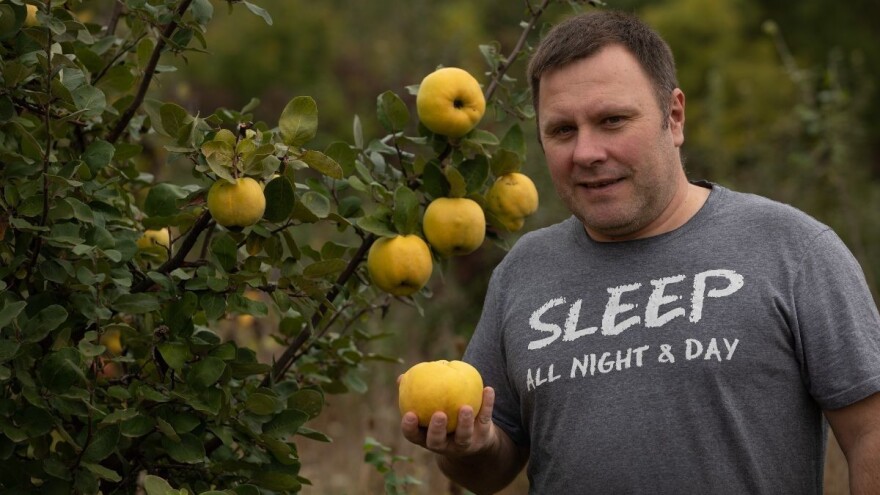 Alternativna zaštita protiv ervinije