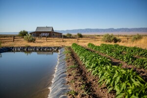 Alternativne metode navodnjavanja?