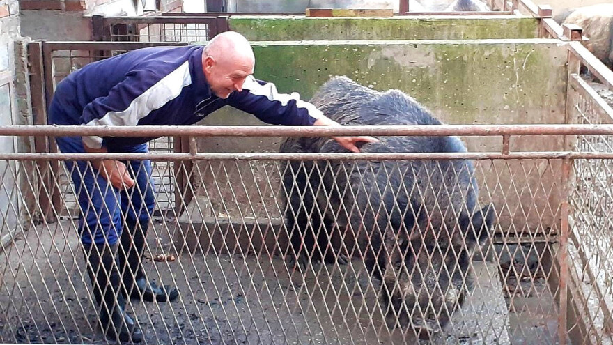 Aleksandar Grgić: Poljoprivreda mora biti prva, a turizam njezina nadogradnja