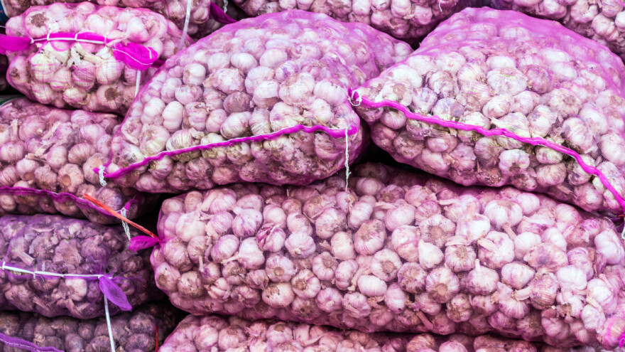 Beli luk će biti još skuplji ove godine?