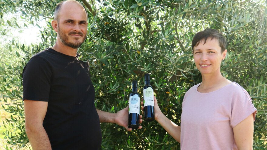 Dvije ljubavi u jednom OPG-u: Ana i Nikola Bodiš - simbioza pčela i maslina te zlatna ekološka ulja